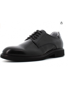 SCARPE ELEGANTI Nero Giardini da Uomo Vendita online SCARPE ELEGANTI da Uomo  Nero Giardini Novità 2021